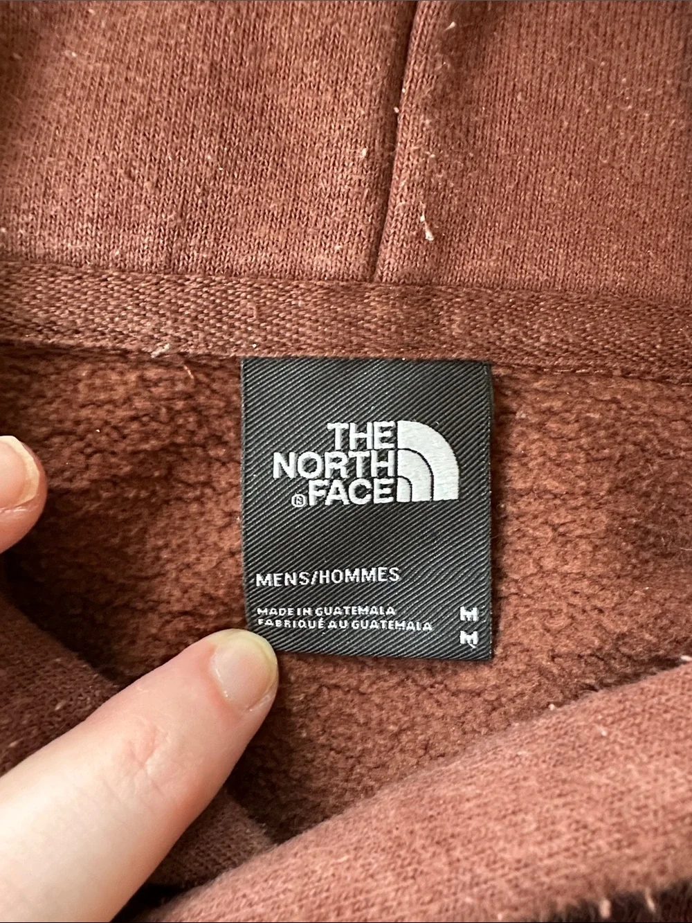 The North Face Men's Hooded Sweatshirt in Plum